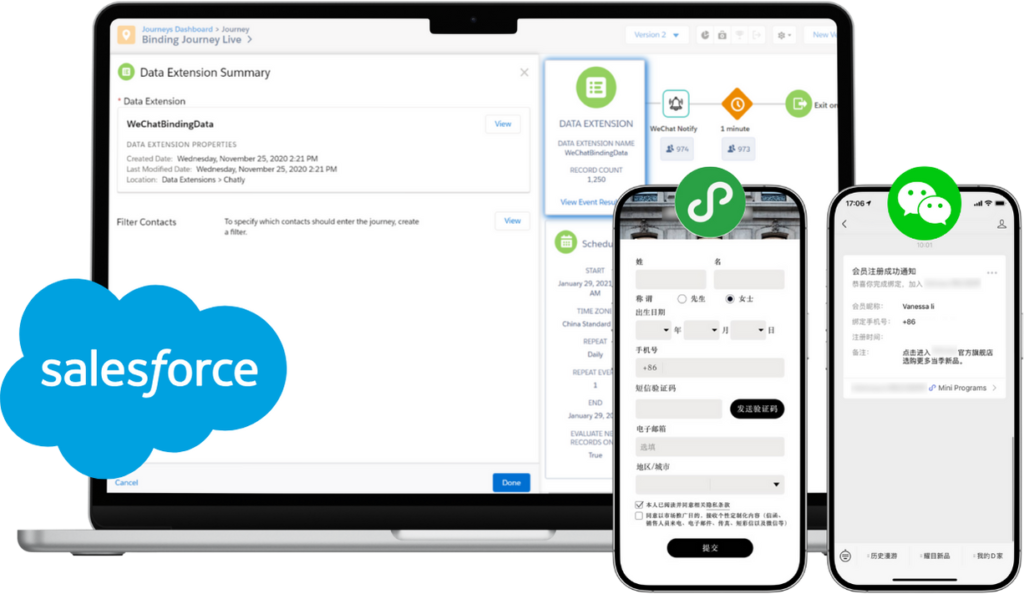 international luxury leather brand WeChat marketing automation via Salesforce